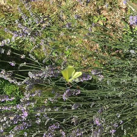 D'hotes Le Clos De Rapevache