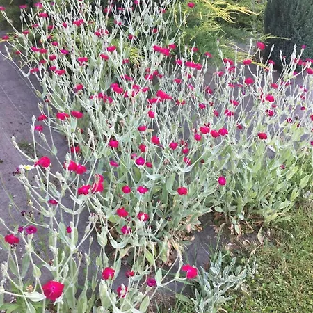 Frühstückspension D'hotes Le Clos De 3*