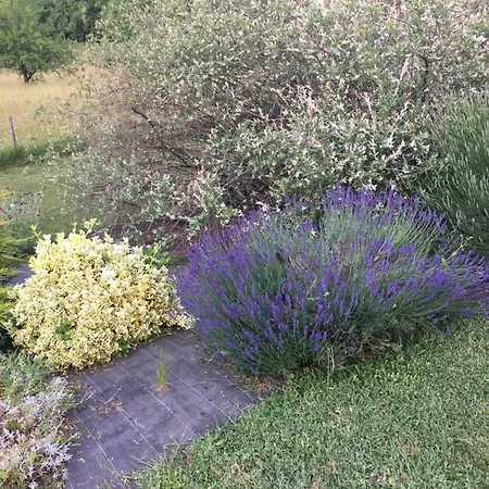 D'hotes Le Clos De 3* Rapevache