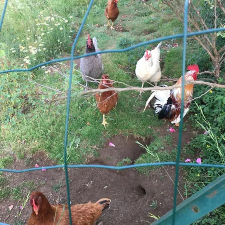 Frühstückspension D'hotes Le Clos De 3*