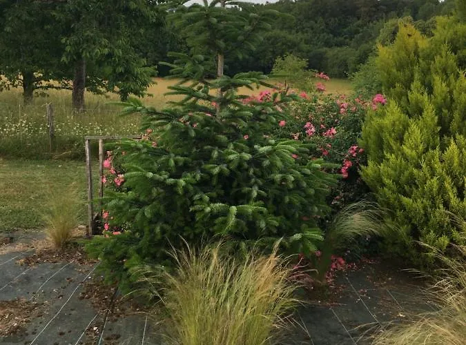 D'hotes Le Clos De 3*