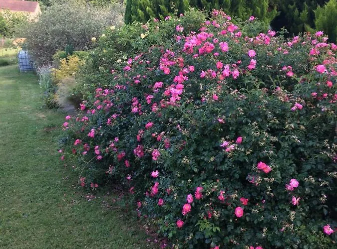 Bed and breakfast D'hotes Le Clos De 3*