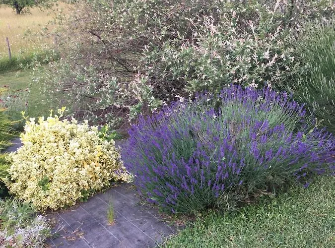 D'hotes Le Clos De 3* Rapevache