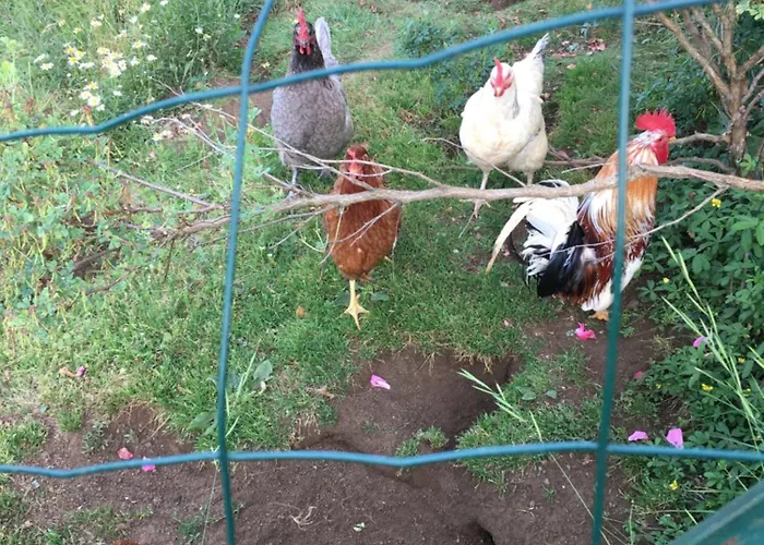 Bed and breakfast D'hotes Le Clos De 3*